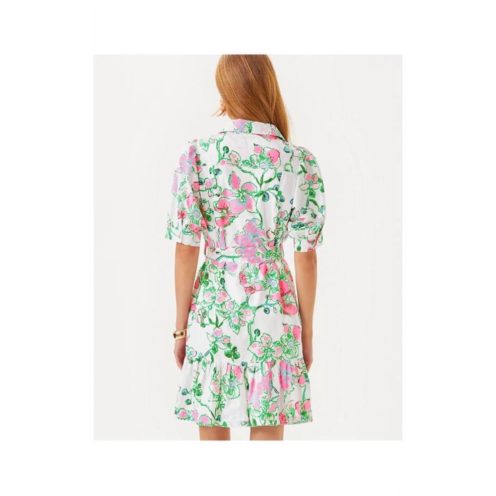 LILLY PULITZER sashria dress Size 10 - Picture 4 of 11